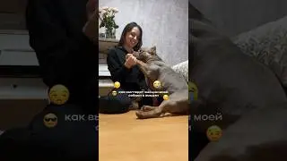 🐶🤍 inst: @oksana_satina @zeus.myambully