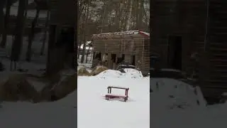 Домик для лошадей зимой #лошади #лошадь #животные #зима #horse