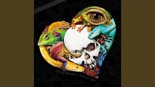 DIOVig-C