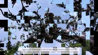 Проект1