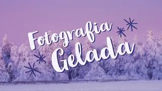 Fotografia de paisagem na beleza congelante do inverno!