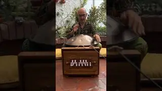 Healing Harmony Capsule I Introducing our new Shruti Box 🌀 #soundhealing #shrutibox #handpan