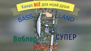 Воблер BASS LAND. Техника твича проста.