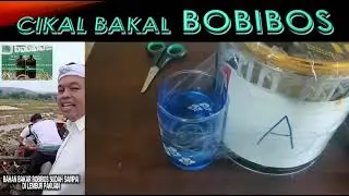 THE FOREIGN OF BOBIBOS VIRAL VEGETABLE BBM KDM JONGGOL WEST JAVA