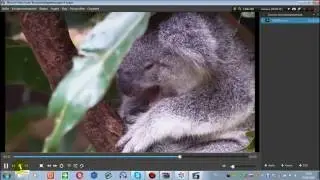 Скачать и установить MOVAVI VIDEO SUITE V15.4.0 .