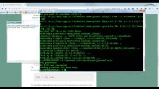 Cara Mudah Instal Anonymous Squid Proxy di VPS Debian