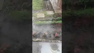 Ливни второй день