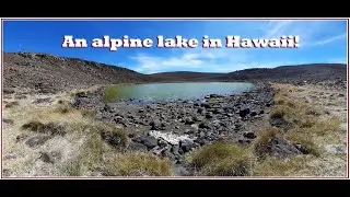 Mauna Kea:  Silverswords, Lake Waiau, the Summit, and More