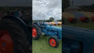 Children Play Group in Farm