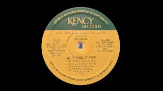 TONY ROME & THE D.W.A.I. ORCHESTRA Feat. ERIC ALLEN - WHAT DOES IT TAKE (INSTRUMENTAL)