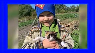 Милый котенок играет с Глебозавриком в догонялки весь день.