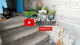 1 мая