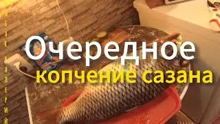 Очередное соление и копчение сазанов🐟