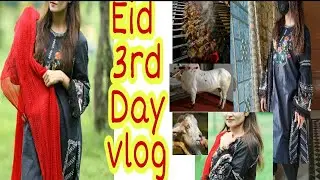 Eid 3rd  Day Highlights|2021 Eid Ul Adha |Celebrating Eid 3rd day|