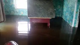 наводнение 2019 остров Дачный
