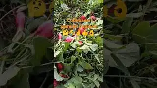 30 мая 2024 г.