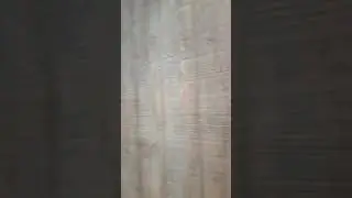 The shootin shack