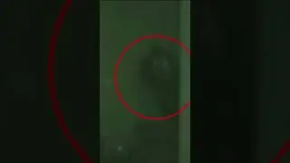 I think I have a SCP or Skinwalker in my House.