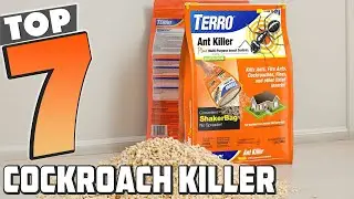 Best Cockroach Killer Products: 7 Solutions for a Pest-Free Home