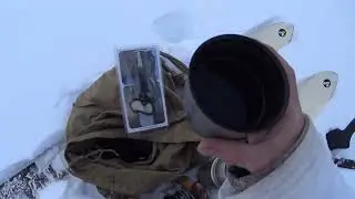 Волк прошёл рядом с деревней, обход угодий, охота на лису.
