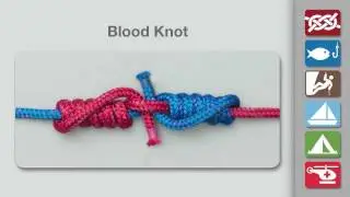 How to Tie a Blood Knot | Fishing Knots