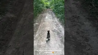 Животные с нами на одной волне #nature