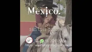 Mexico SLP