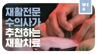 사람만큼 다양한 동물 재활치료 방법 [위아 17화]