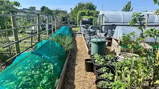 How I'm making gardening easier