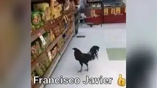 MEMES MUY XD #173