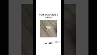 where wld u chill? | part 20! #rizz #tiktok #shortsfeed #cute #aesthetic #chill #fyp #youtubeshorts