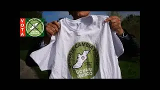 Appello al voto di Stefano Golfari