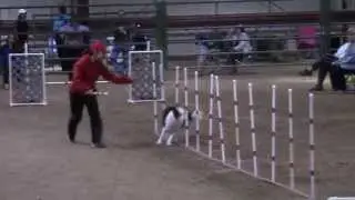 Kuri Pairs 050414