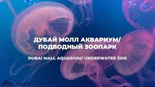 Аквариум в Дубай Молл и подводный зоопарк (Dubai Mall + underwater zoo)