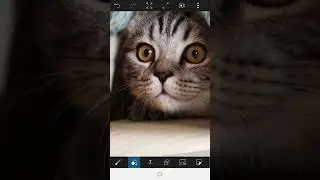 Surreal Manipulation using Picsart | Picsart Manipulation