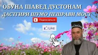 Бо зани хомила хамхобаги кардан чоиз АСТ ё на