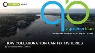 How Collaboration Can Fix Fisheries by Duncan Leadbitter