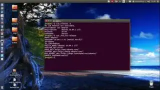 Find Linux version via Terminal [Ubuntu 16.04]
