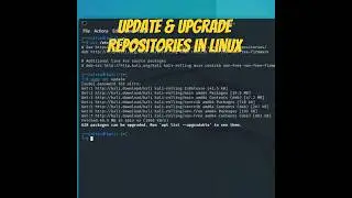Update Kali Linux Repositories | apt update & apt upgrade Explained