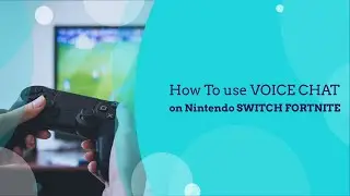 How to Voice Chat On Nintendo Switch Lite open mic