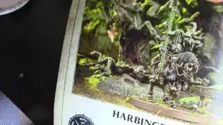 How to set up a Nurgle Rotbringers Army (Age of Sigmar)
