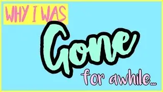 WHY I WAS GONE FOR AWHILE... | Amanda Danielle