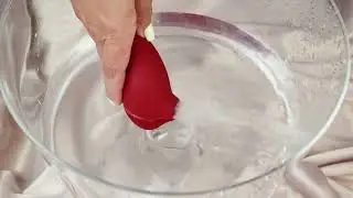 Adrien Lastic Inspiration: виброяйцо и вакуумный стимулятор с управлением со смартфона