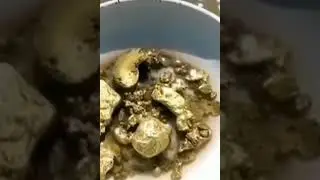 Zor Şartlarda Altın Bulmak
