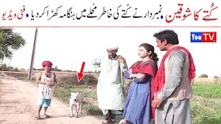 Number Daar Kutay Ka Shoqeen Funny | New Top Funny | Must Watch Top New Comedy Video 2021 |You Tv