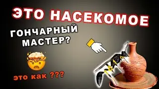 🐝Удивительные Гончарные мастера! 