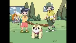 Las Chicas Superpoderosas Z Capitulo 21 - El ataque de patito / Venganza vegetal