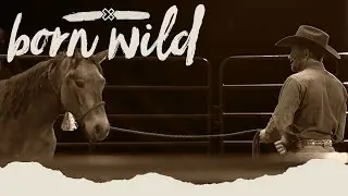 Training A Wild Horse In An Hour | Born Wild 3pm (LIVE)