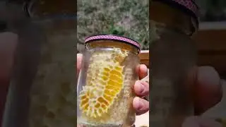 Пасека сезон 2022🐝🍯