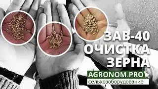 Зерноочистительный комплекс ЗАВ 40 в работе